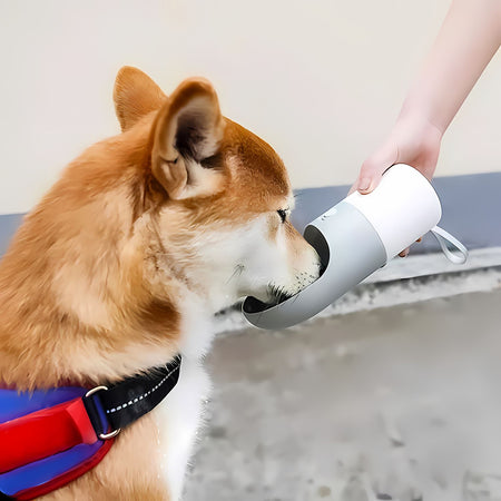 Rocket - Portable Pet Water Bottle