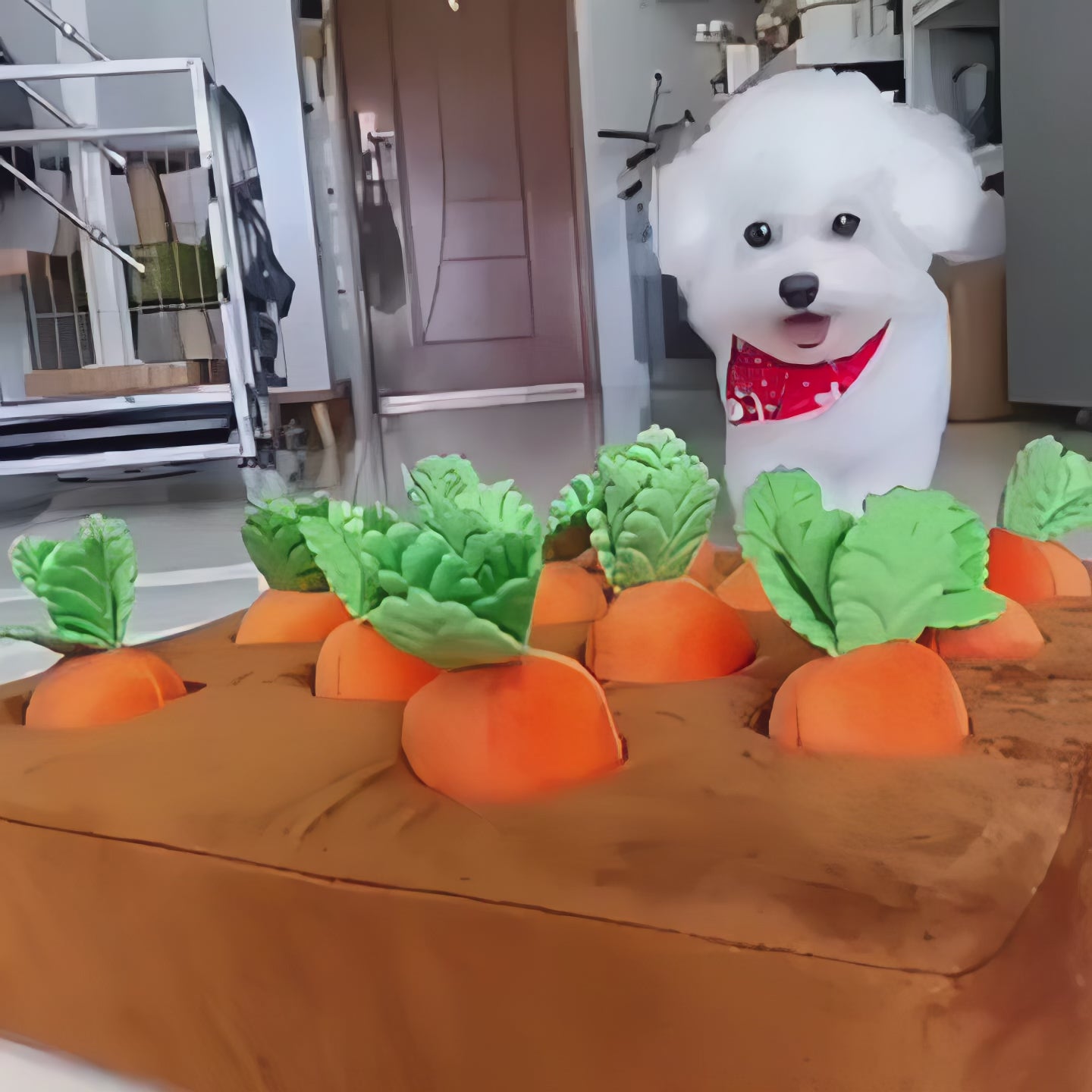 CarrotPatch - Chewable Toy for Small Pets